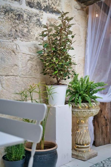 Appartement-Terrasse Centre Historique Uzès Eksteriør billede